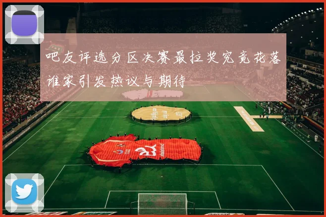吧友评选分区决赛最拉奖究竟花落谁家引发热议与期待